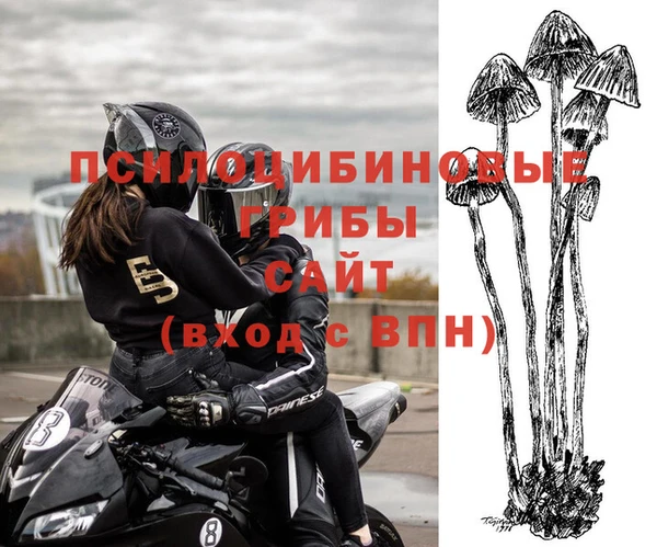 jwh Алзамай