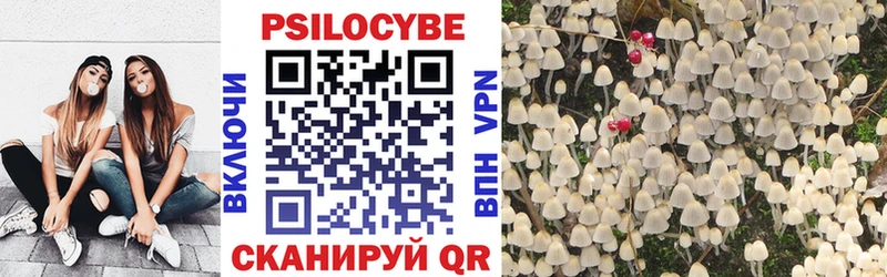 Галлюциногенные грибы Psilocybe  Звенигород 