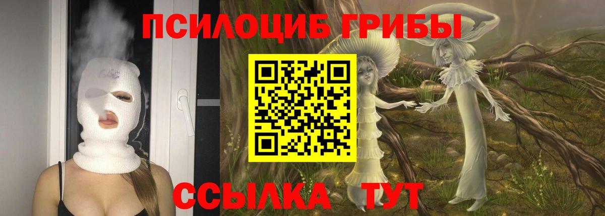 Звенигород  Псилоцибиновые грибы мицелий  Вход с VPN 