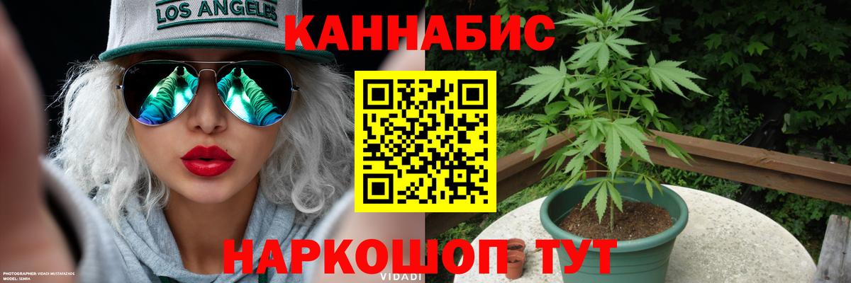 Каннабис ГИДРОПОН Звенигород